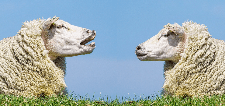 Is your product team communicating?