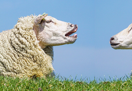 Is your product team communicating?