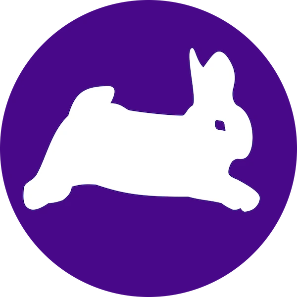 JumpRoom Logo